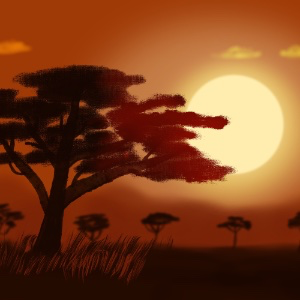 reflection of african sunset