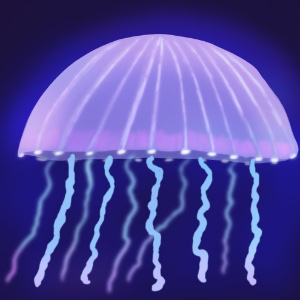 reflection of jellyfish