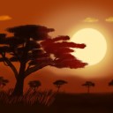 African Sunset